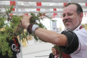 2017第四届中国丰盆景展