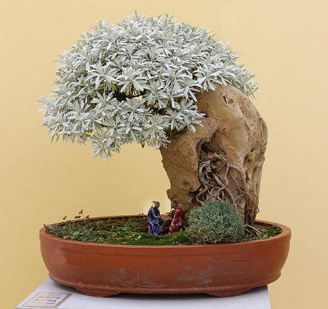 2017第四届中国风盆景展 - 第三部分展览