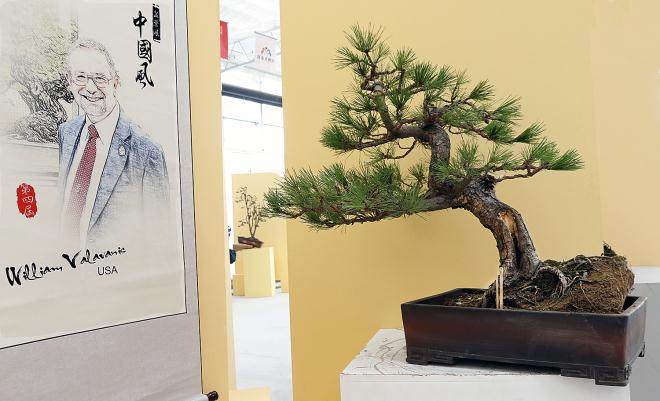 2017第四届中国风盆景展 - 第二部分示范