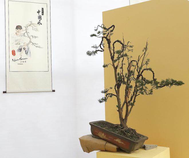 2017第四届中国风盆景展 - 第二部分示范