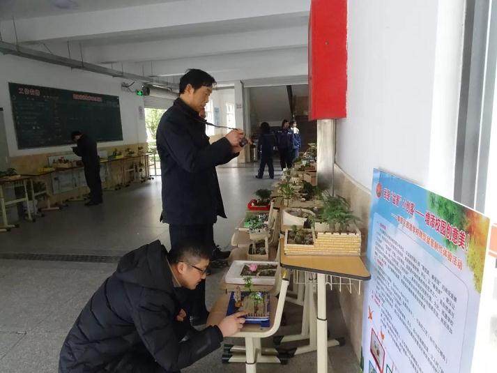 奉贤区西渡学校微型盆景制作展示活动