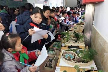 奉贤区西渡学校微型盆景制作展示活动