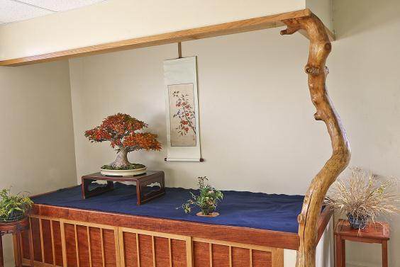 2015年秋天在国际盆景树木园