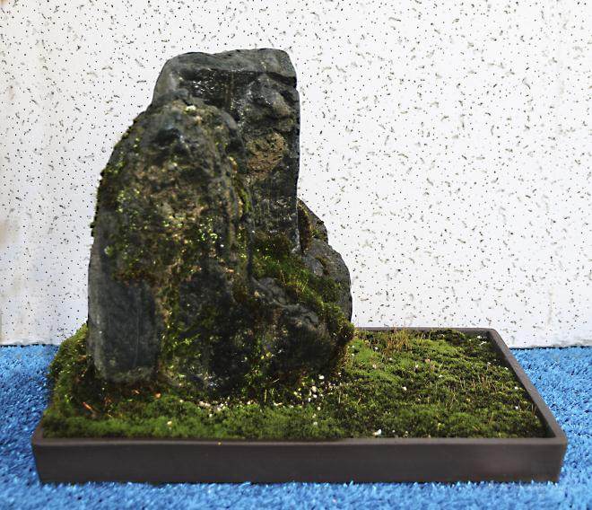 2015年北部纽约盆景雅石展览