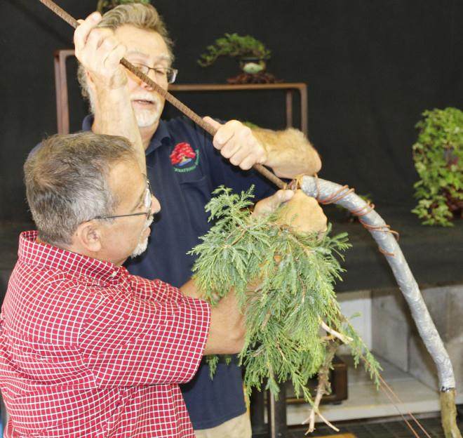 2015国际盆景植物园秋季开放日及销售