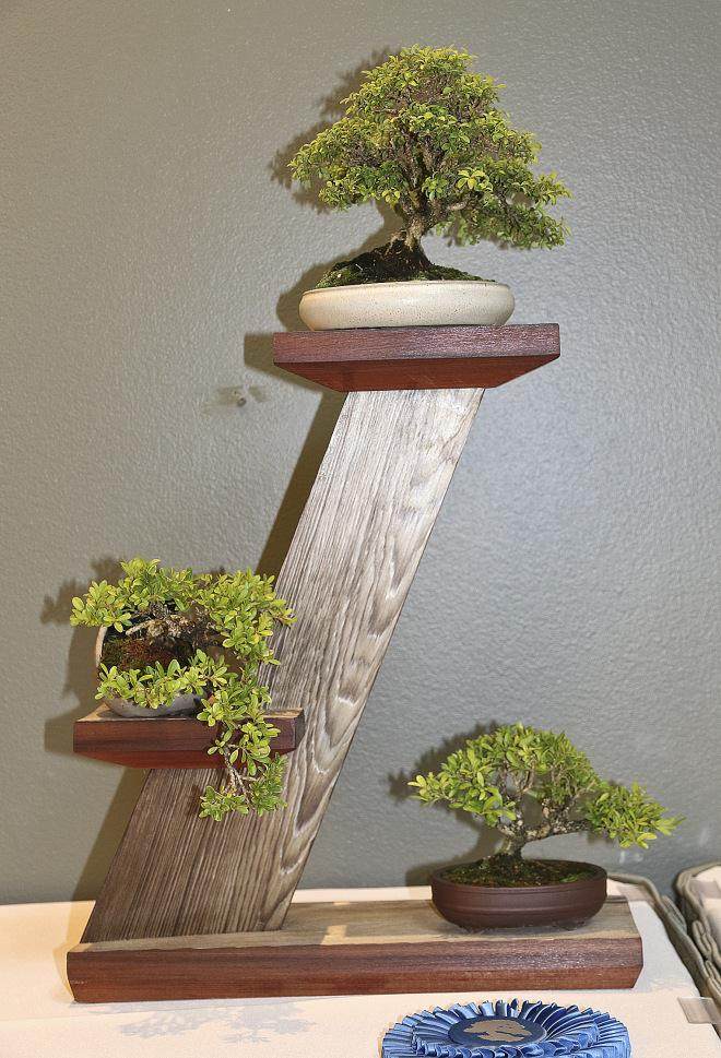 2015年第38届美国中部盆景展览