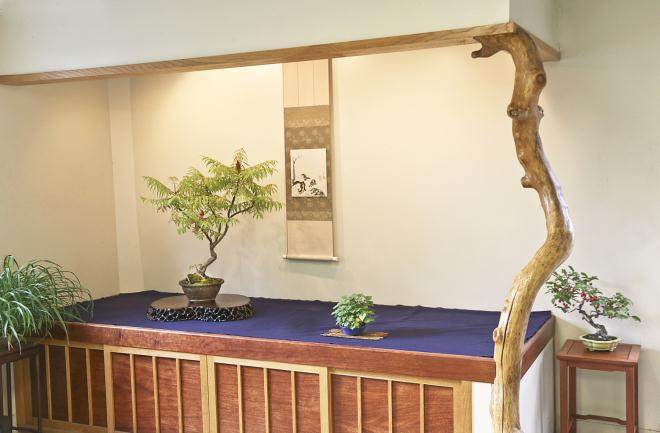 如果你修剪盆景 使其在夏末看起来整洁