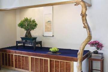 2015年5月 古典盆景大师班