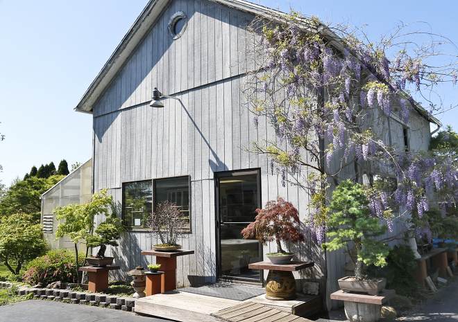 春天美在国际盆景植物园