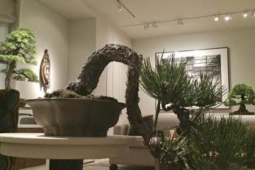 非洲 海洋艺术和古典盆景在纽约展出