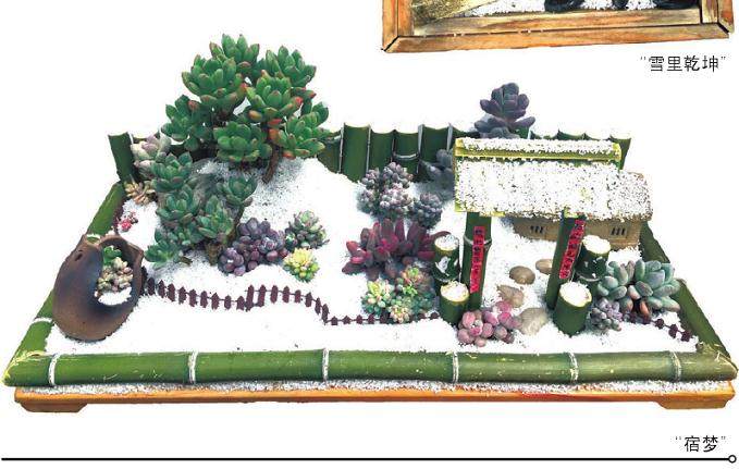 首届花都杯多肉组合盆栽大赛于在山东青州举办