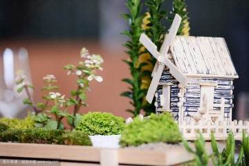 二十种多肉植物在昆明地区露地栽评价