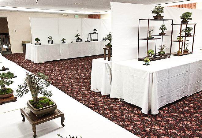 第14届美国加利福尼亚小品盆景研讨会