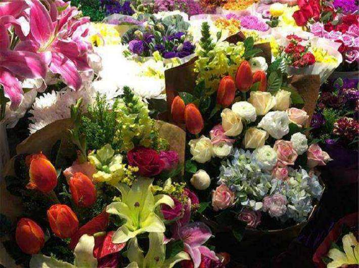 北京花乡花卉创意园也因此成为活动的一大亮点