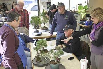 我想宣布一个新的教育盆景计划