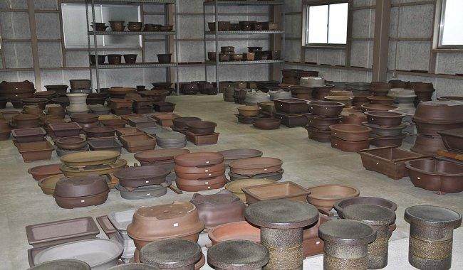 日本国际盆景旅游探索 - 2013年秋季