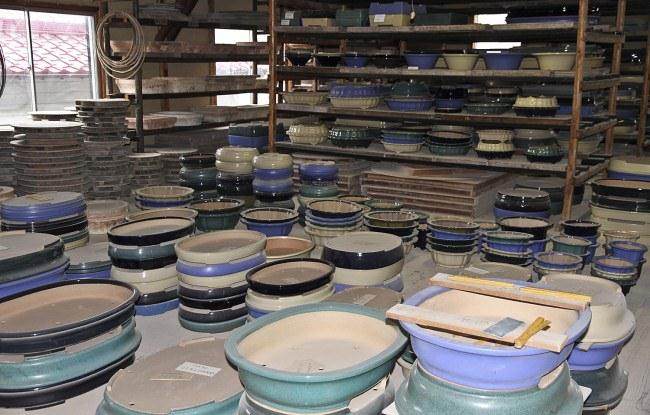 日本国际盆景旅游探索 - 2013年秋季