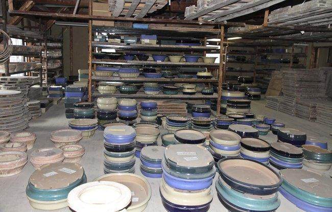 日本国际盆景旅游探索 - 2013年秋季