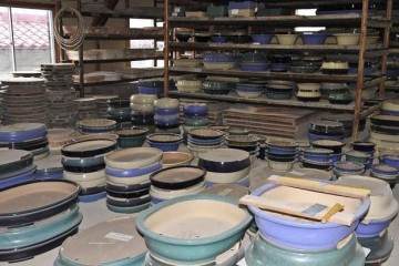 日本国际盆景旅游探索 -  2013年秋季