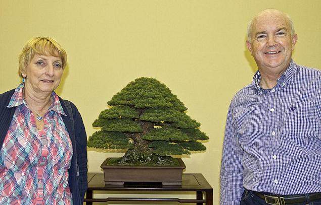 2013年秋季去日本盆景旅游