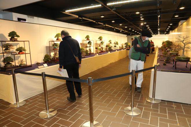 2016年 第90届国府盆景展 - 报告2