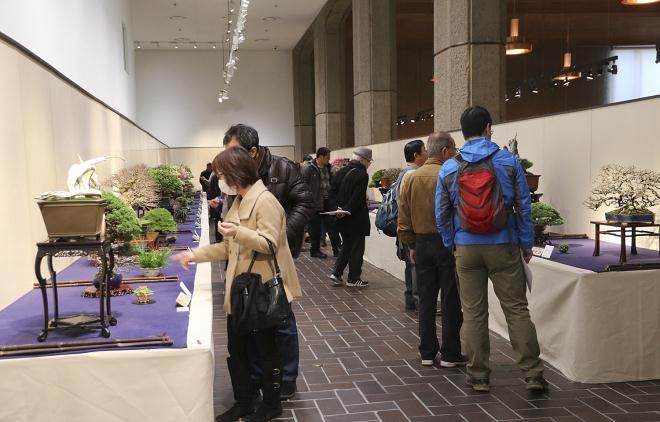 2016年 第90届国府盆景展 - 报告2