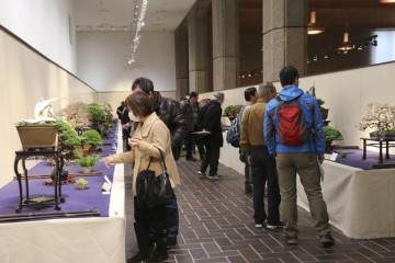 要以向世界展示更多传统的日本盆景