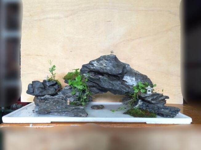 图解 假山观赏盆景怎么制作