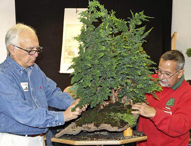 2013年秋季盆景开放日 - 第2部分