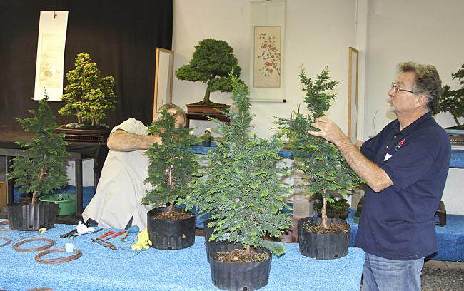 2013年秋季盆景开放日 - 第2部分