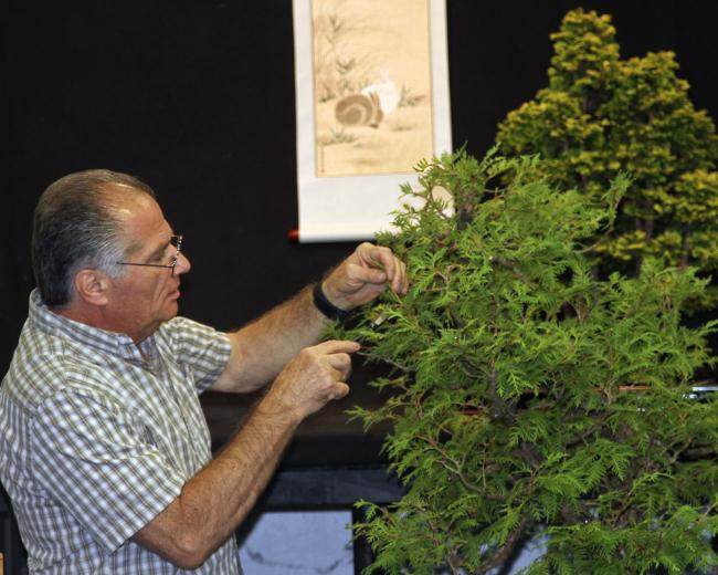 第三届北部纽约雅石盆景展览