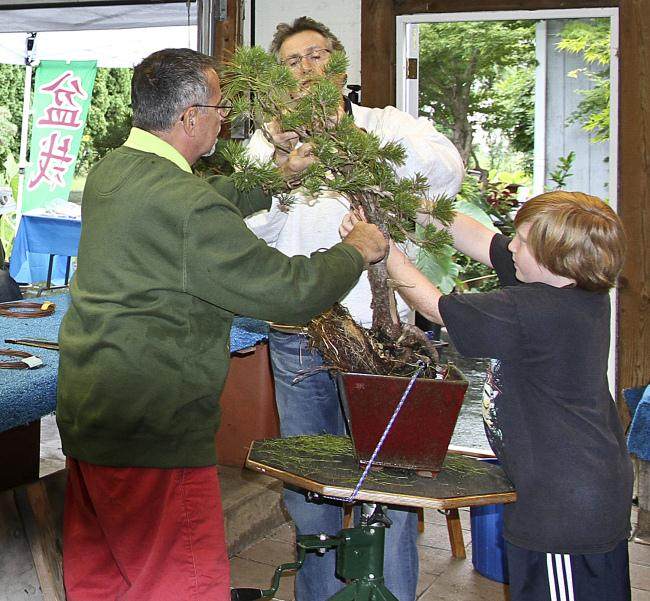 第三届北部纽约雅石盆景展览