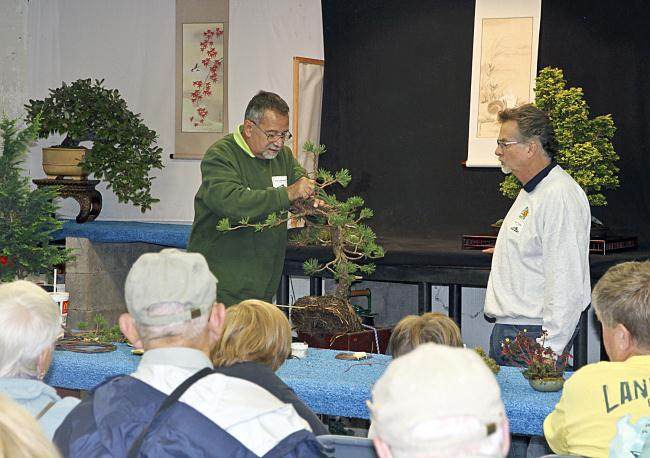 第三届北部纽约雅石盆景展览