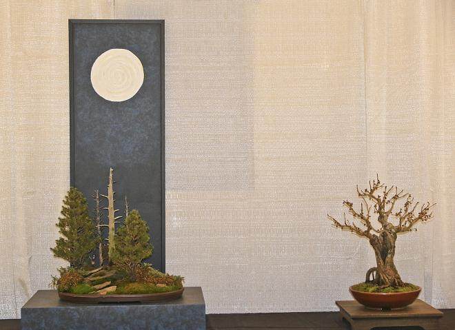 2014年 第二届成功的冬季剪影盆景博览会