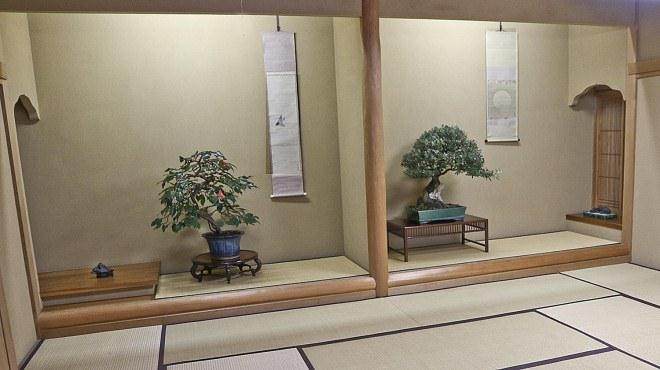 在东京参观俊个先生的盆景博物馆