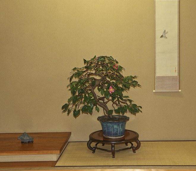 在东京参观俊个先生的盆景博物馆