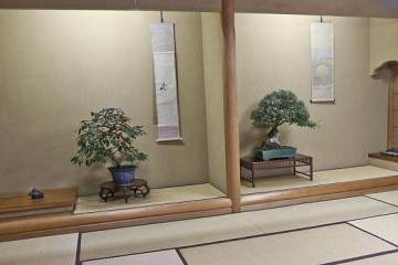 在东京参观俊个先生的盆景博物馆