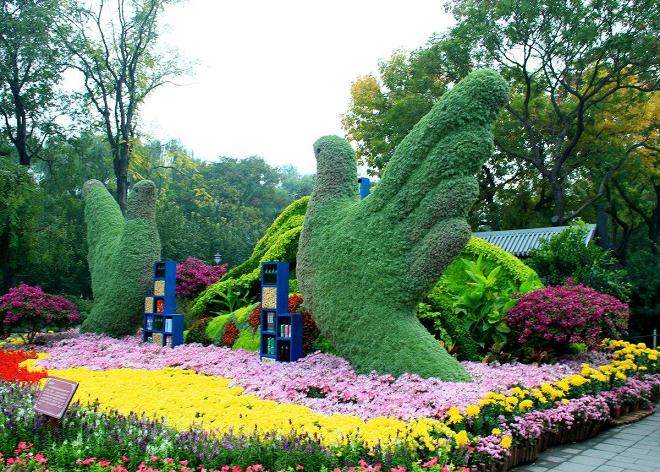 容器花园的选材原则