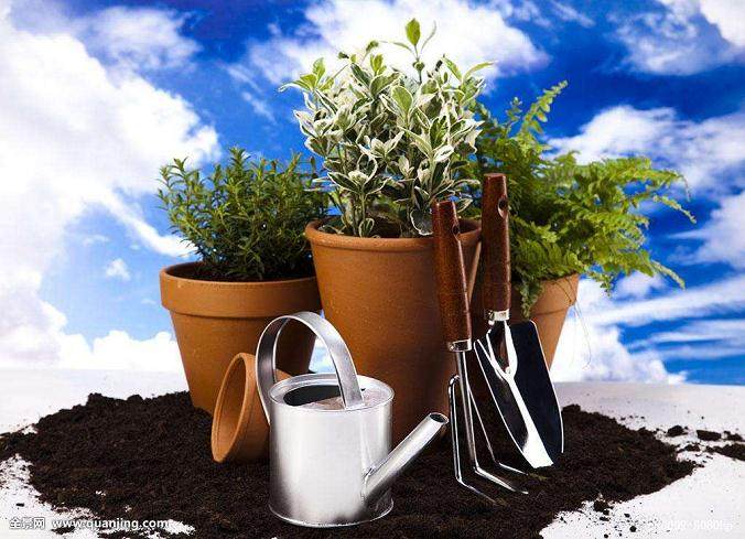 容器花园种植的设计模式