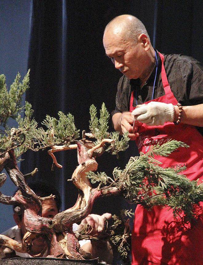 2014年国际盆景艺术与文化双年展 - 第2部分