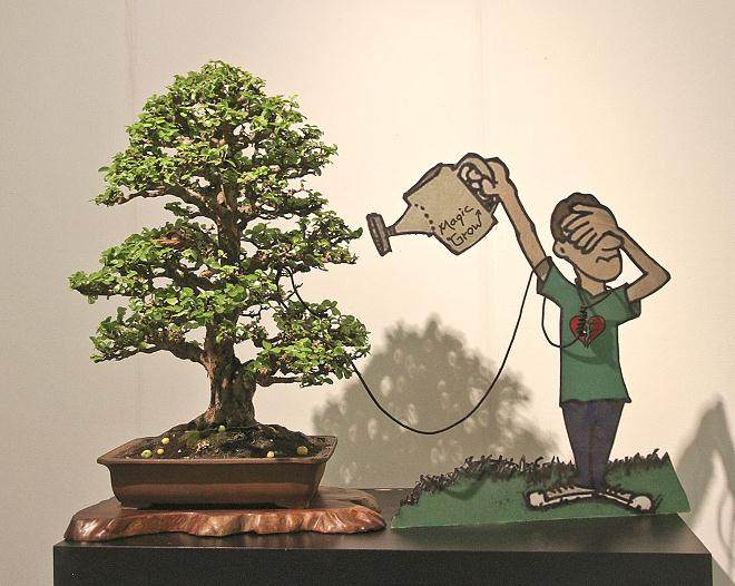 2014年 印度尼西亚举办的国际盆景艺术展