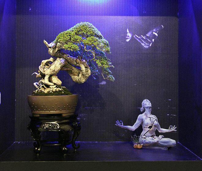 2014年 印度尼西亚举办的国际盆景艺术展