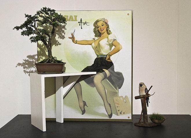 2014年 印度尼西亚举办的国际盆景艺术展