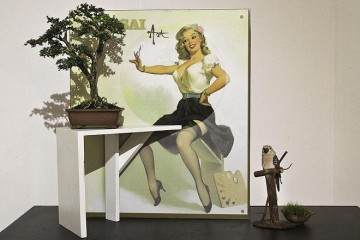 2014年 印度尼西亚举办的国际盆景艺术展