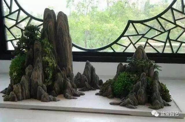 山水盆景生苔藓?这种养护技巧赶紧学起来吧!