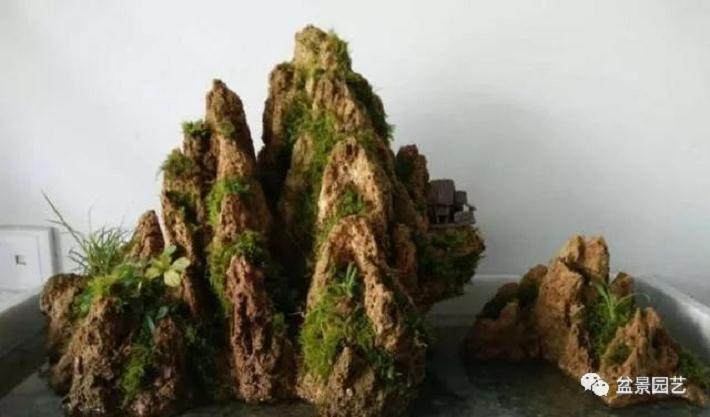 山水盆景生苔藓?这种养护技巧赶紧学起来吧