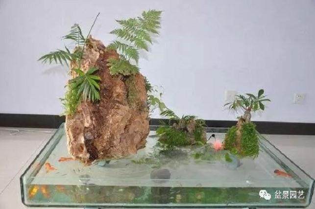 山水盆景生苔藓?这种养护技巧赶紧学起来吧