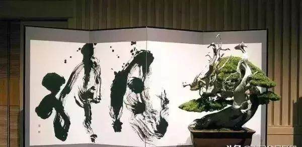 当书法遇上盆景 就变成一种艺术收藏品吧