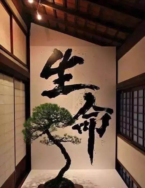 当书法遇上盆景 就变成一种艺术收藏品吧