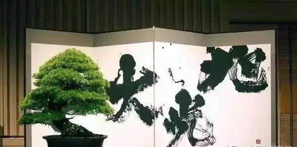当书法遇上盆景 就变成一种艺术收藏品吧